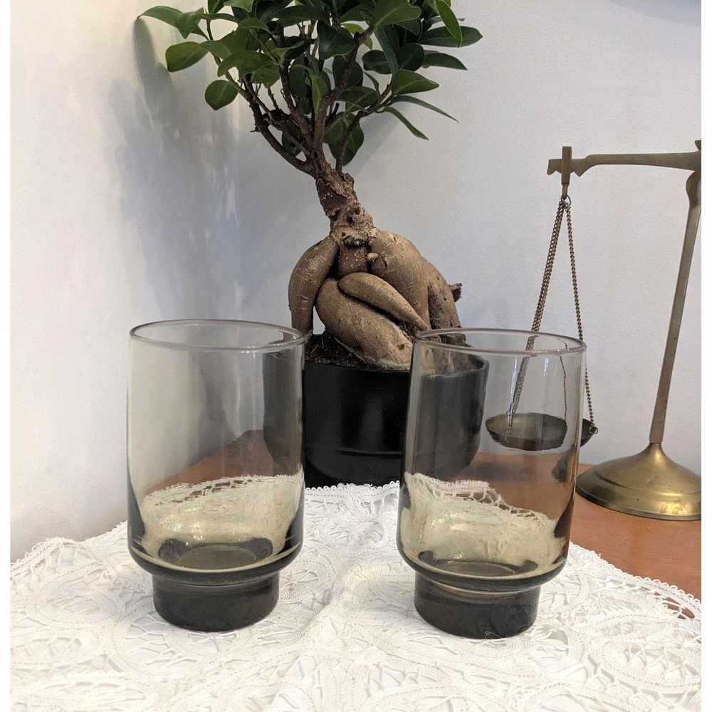 Vintage Libbey Tawny Accent Glasses Set of 2 – 1970s Smoky Glass – Mid Century